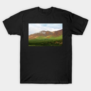 Sable Pass, Denali National Park T-Shirt